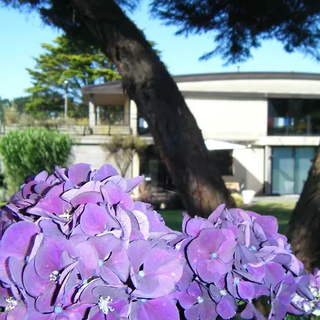 Bed & Breakfast D'hote A